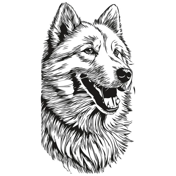 Samoyed Hund Realistische Bleistiftzeichnung Vektor Linienkunst Illustration Des Hundes Gesicht — Stockvektor
