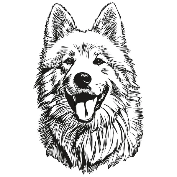 萨摩亚狗写实铅笔矢量画图 狗脸黑白线条艺术图解 — 图库矢量图片