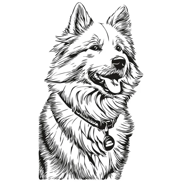 Samojed Pes Realistický Pet Ilustrace Ručně Kreslení Tvář Černá Bílá — Stockový vektor