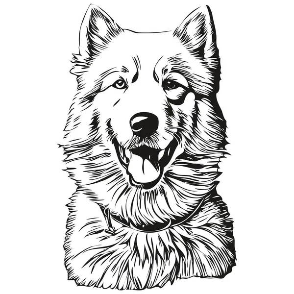 萨莫伊犬T恤印着黑白照片 可爱滑稽的轮廓画图矢量逼真的品种宠物 — 图库矢量图片
