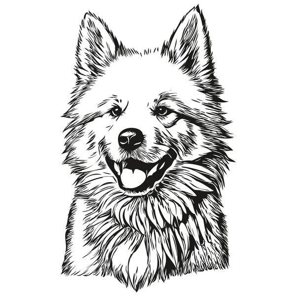Samoyed Dog Vector Face Draw Portrait Sketch Vintage 스타일 현실적 — 스톡 벡터