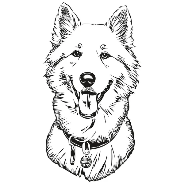 Samoyed Hund Vektor Gesicht Zeichnung Porträt Skizze Vintage Stil Transparenten — Stockvektor