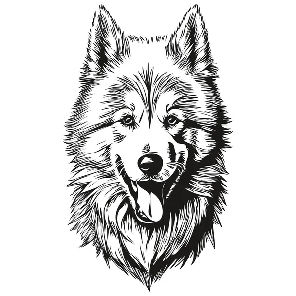 Graphiques Vectoriels Chien Samoyed Illustration Ligne Animale Dessinée Main — Image vectorielle