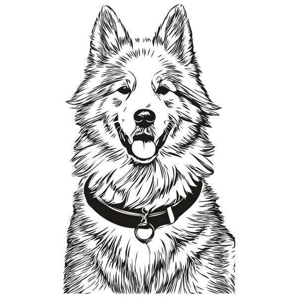 萨摩亚犬矢量图形 手绘铅笔动物线条图解逼真品种宠物 — 图库矢量图片