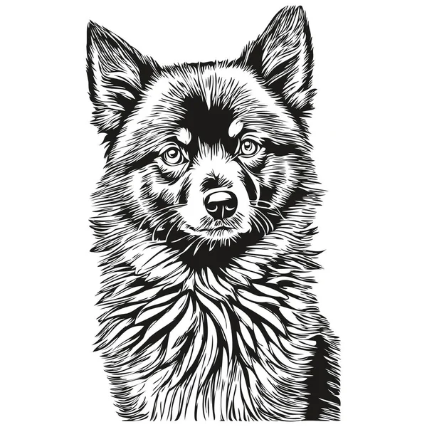 Schipperke Cão Raça Linha Desenho Clip Arte Animal Mão Desenho — Vetor de Stock
