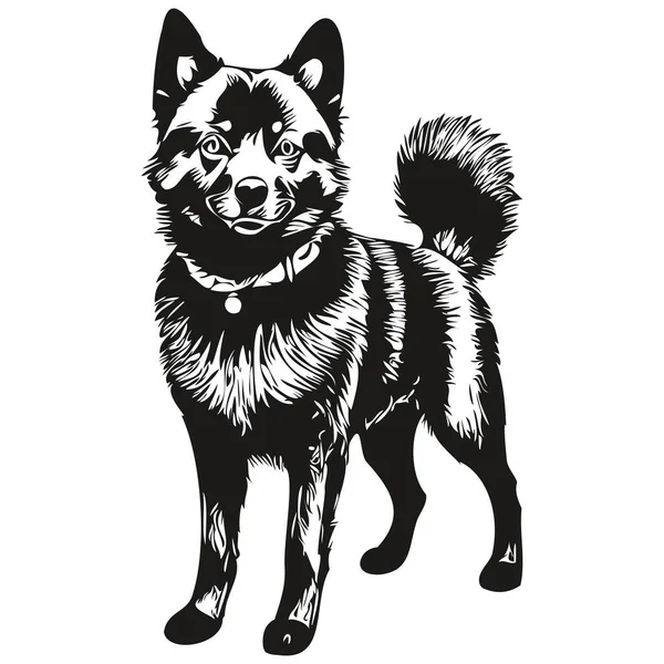 Schipperke Cão Raça Linha Desenho Clip Arte Animal Mão Desenho — Vetor de Stock
