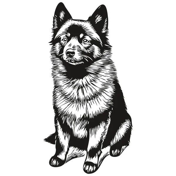 Kartun Anjing Schipperke Menghadapi Potret Tinta Gambar Sketsa Hitam Dan - Stok Vektor