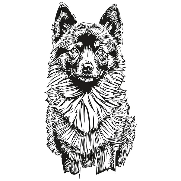 Schipperke Cão Desenho Animado Rosto Tinta Retrato Desenho Esboço Preto — Vetor de Stock