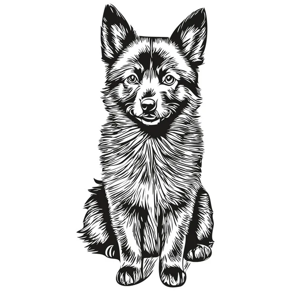 Schipperke犬漫画の顔インクの肖像画 黒と白のスケッチ描画 Tシャツの印刷 — ストックベクタ