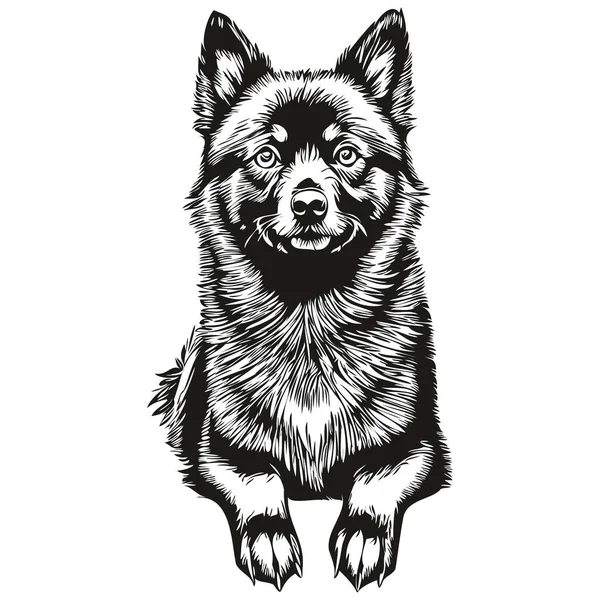 Schipperke Köpeğinin Oymalı Vektör Portresi Siyah Beyaz Gerçekçi Evcil Hayvan — Stok Vektör