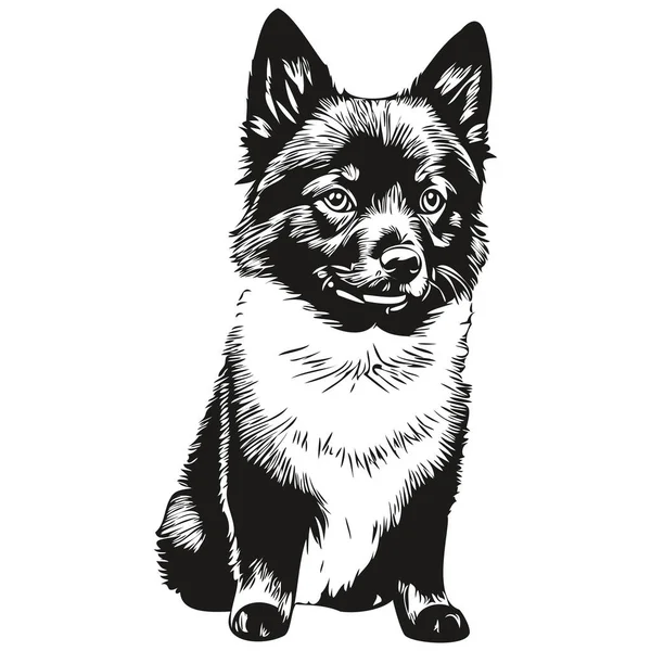Schipperke Hond Gezicht Vector Portret Grappige Omtrek Huisdier Illustratie Wit — Stockvector