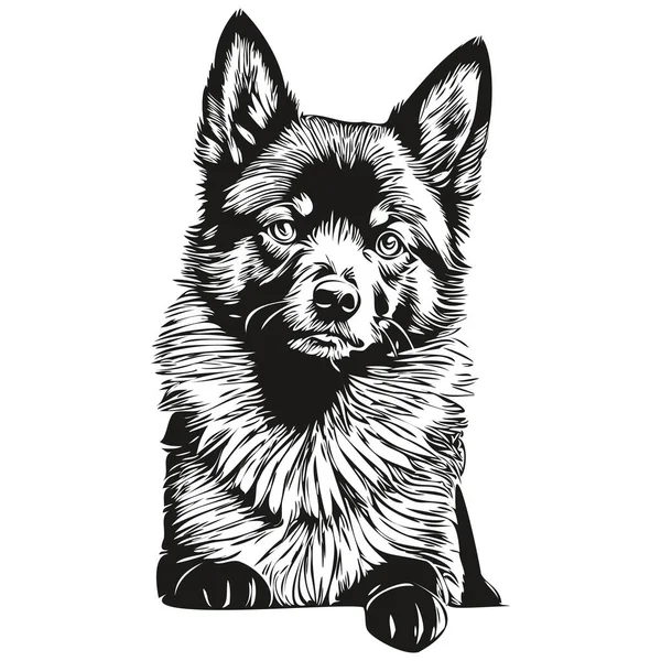 Schipperke Köpek Oymalı Vektör Portresi Karikatür Klasik Çizimi Siyah Beyaz — Stok Vektör