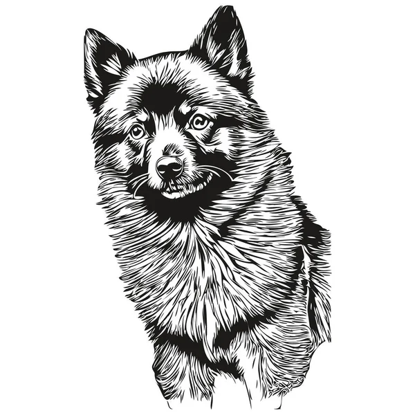施佩基犬手绘标识画上黑白线条的艺术宠物图解逼真的品种宠物 — 图库矢量图片