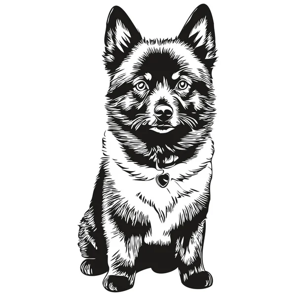 Schipperke Hond Met Hand Getekend Logo Tekening Zwart Wit Lijn — Stockvector