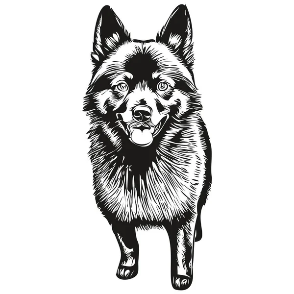 黒と白のラインのアートペットのイラストを描くSchipperke犬の手描きロゴ — ストックベクタ