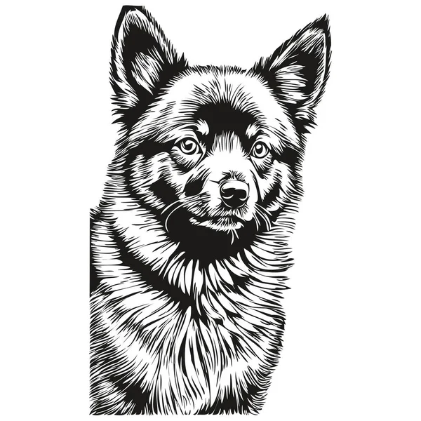 Desenho Esboço Tinta Cão Schipperke Tatuagem Vintage Shirt Imprimir Desenho — Vetor de Stock