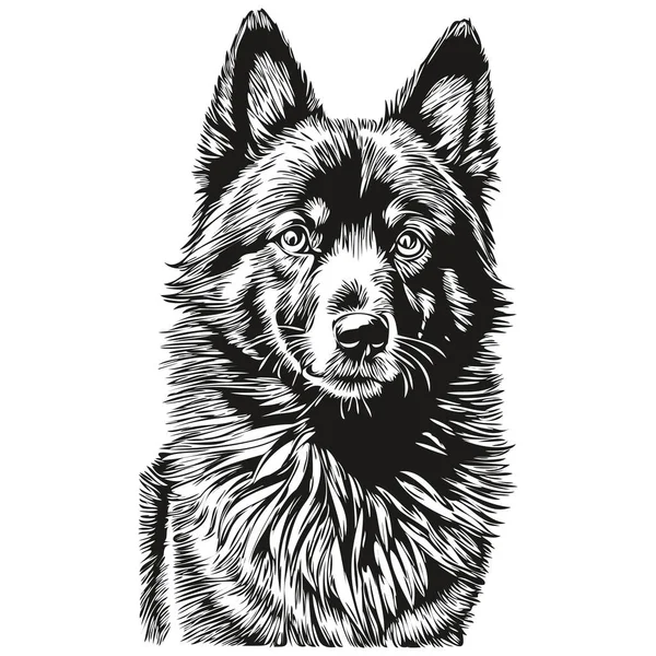 Чернильный Рисунок Собаки Шипперке Винтажная Татуировка Отпечаток Футболки Черно Белый — стоковый вектор
