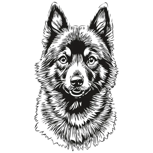 Schipperke犬のロゴベクトル黒と白 ヴィンテージかわいい犬の頭は現実的な品種のペットを刻ま — ストックベクタ
