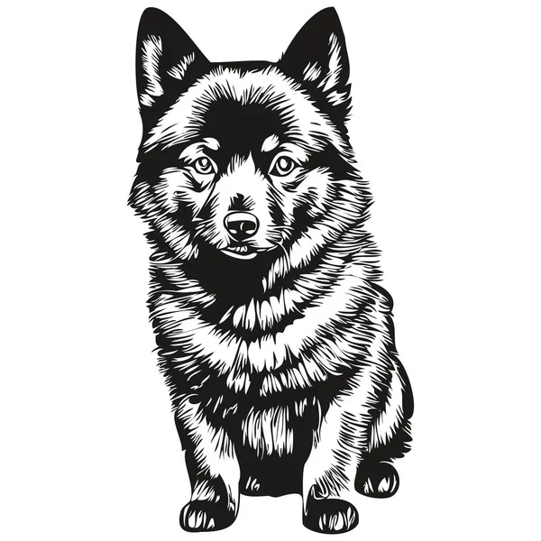 Schipperke Dog Logo Vector Black White Vintage Cute Dog Head — Stock Vector