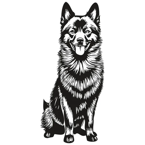 狮身人面像狗形铅笔画图 白色背景上的黑色人物写实宠物轮廓 — 图库矢量图片