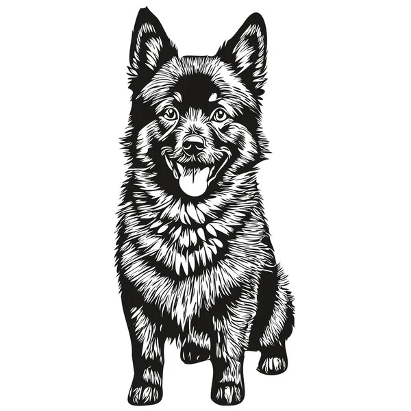 施佩基狗的标识向量黑白 老式可爱的狗头像雕刻 — 图库矢量图片