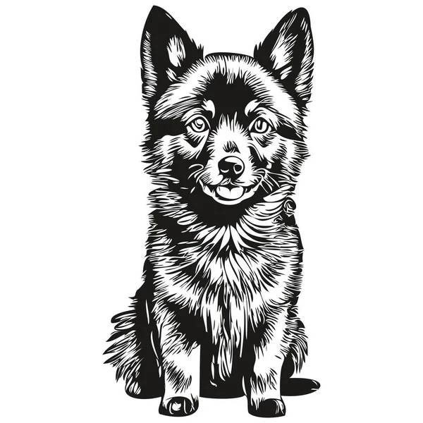 狮身人面像狗铅笔画图 白色背景上的黑色人物写实品种宠物 — 图库矢量图片