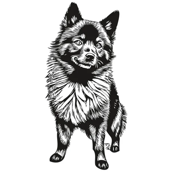 Schipperke Cão Esboço Lápis Desenho Arte Personagem Preto Fundo Branco — Vetor de Stock
