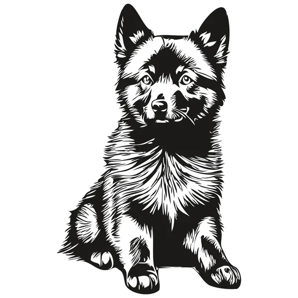 Schipperke Cão Lápis Mão Desenho Vetor Esboço Ilustração Pet Rosto — Vetor de Stock