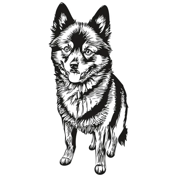 Schipperke Dog Pencil Hand Drawing Vector Outline Illustration Pet Face — Stock Vector