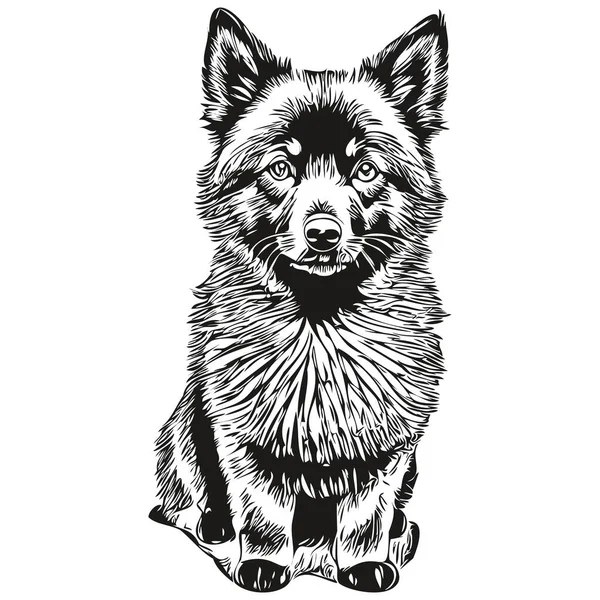 Schipperke Hond Huisdier Silhouet Dierlijke Lijn Illustratie Hand Getekend Zwart — Stockvector