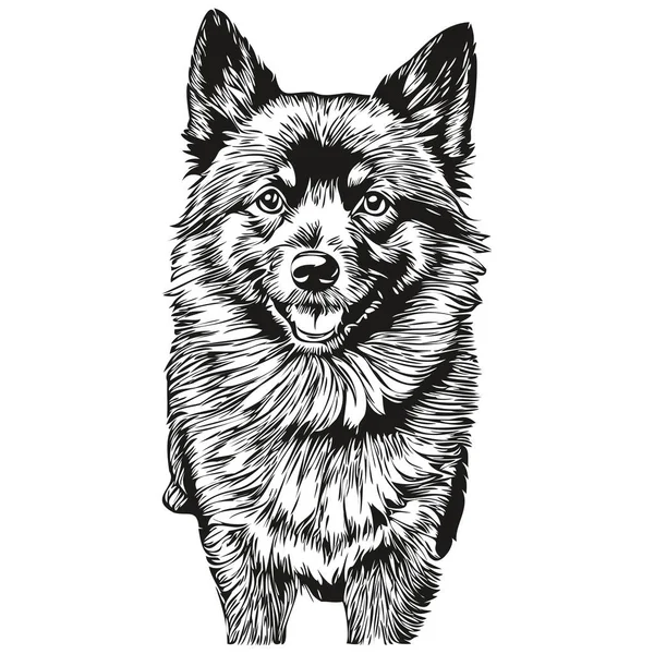 Силуэт Собаки Шипперке Рисунок Линии Животного Черно Белый Вектор Реалистичный — стоковый вектор