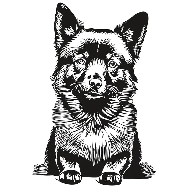 Schipperke Cane Pet Silhouette Animale Linea Illustrazione Disegnato Mano Bianco — Vettoriale Stock