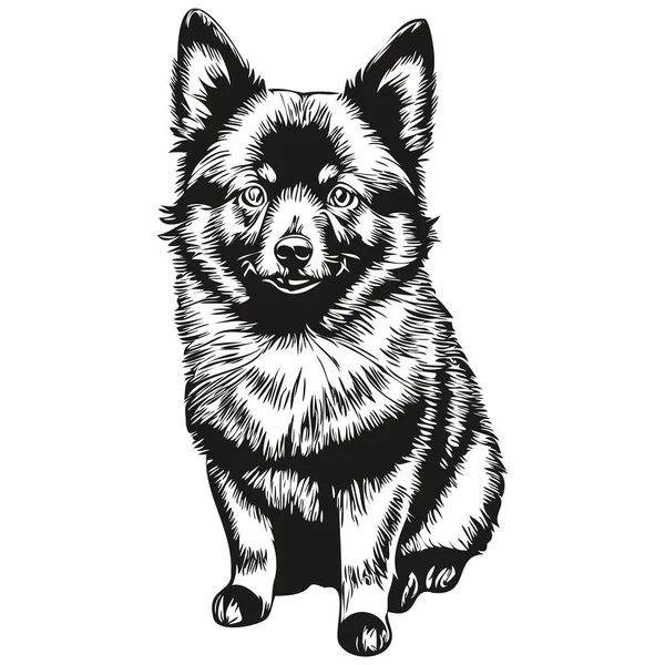 Schipperke Dog Pet Sketch Illustration Black White Engraving Vector — Stock Vector