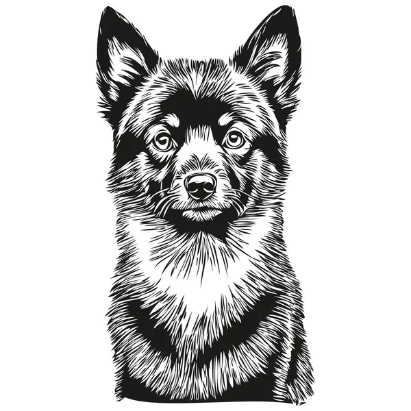 Schipperke Cão Retrato Vetor Animal Mão Desenho Para Tatuagem Tshirt — Vetor de Stock