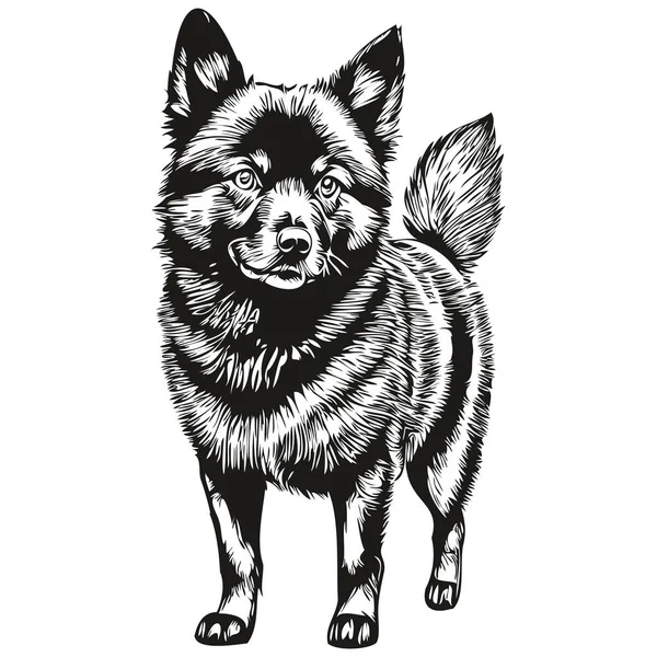 施培克犬写实铅笔画中矢量 线条画中犬脸黑白相间 — 图库矢量图片