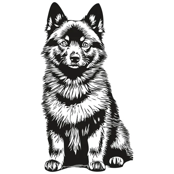 Портрет Собаки Шипперке Векторном Животном Ручном Рисунке Татуировки Напечатанной Футболки — стоковый вектор