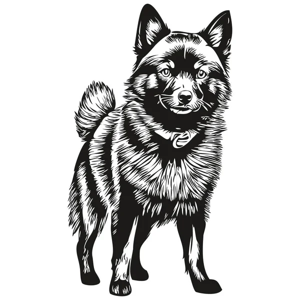 Schipperke Hond Silhouet Huisdier Karakter Clip Art Vector Huisdieren Tekening — Stockvector