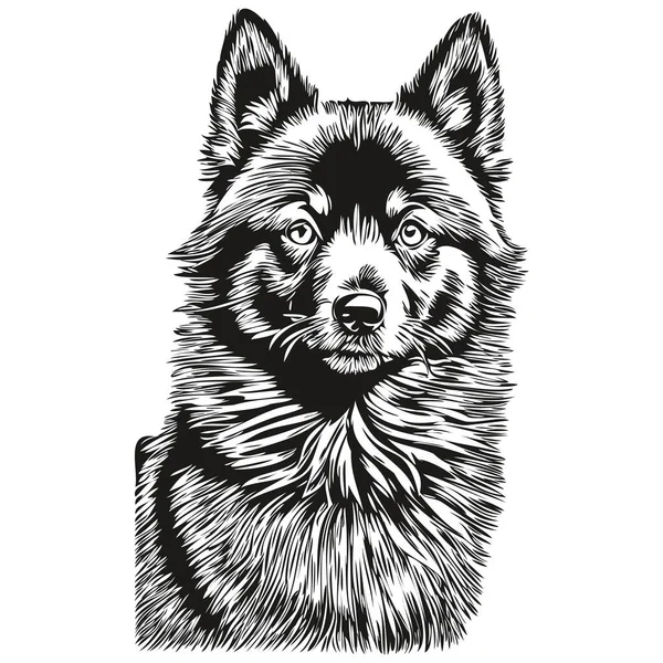 Schipperke犬シルエットペットキャラクター クリップアートベクトルペット黒と白を描く — ストックベクタ
