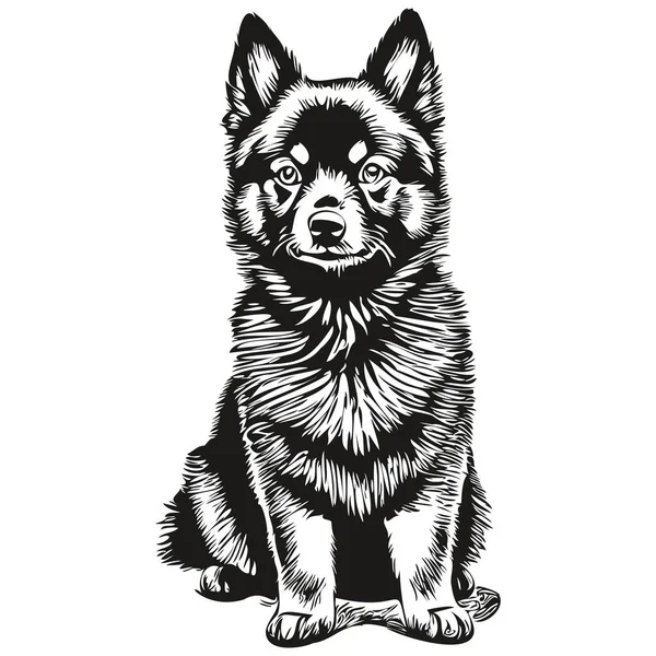 施佩基犬T恤黑色和白色相间 可爱有趣的轮廓画矢量草图 — 图库矢量图片