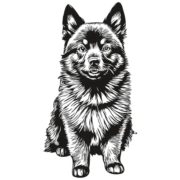 施佩基犬T恤印着黑白相间的可爱滑稽轮廓画图矢量 — 图库矢量图片