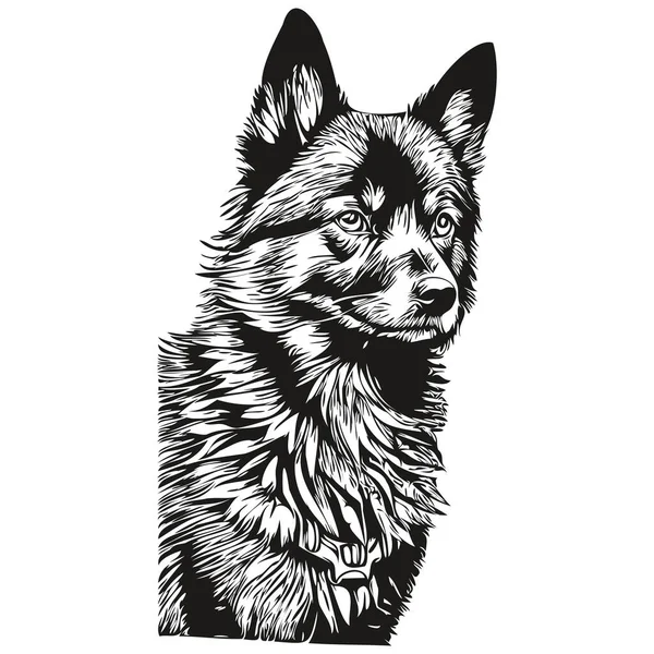 Schipperke Hund Vektor Gesicht Zeichnung Porträt Skizze Vintage Stil Transparenten — Stockvektor