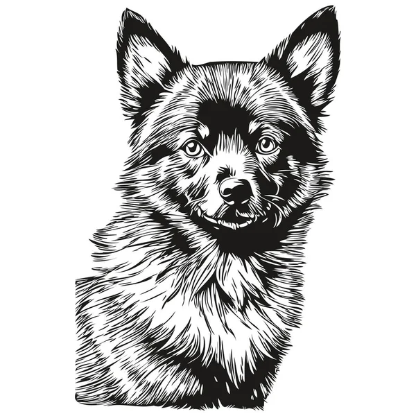 Портрет Собаки Шипперке Векторный Рисунок Лица Эскиз Винтажный Стиль Прозрачный — стоковый вектор