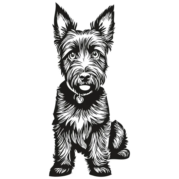 Scottish Terrier Σκυλί Φυλή Γραμμή Σχέδιο Κλιπ Τέχνη Ζώο Χέρι — Διανυσματικό Αρχείο