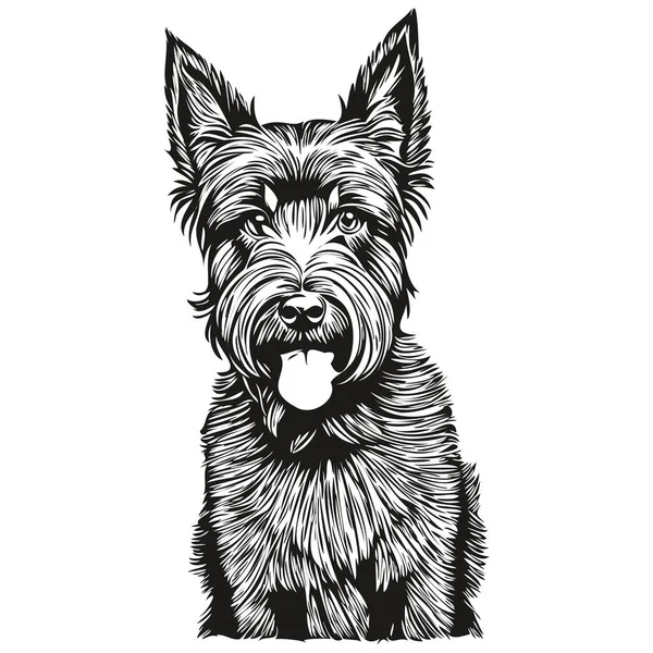 Scottish Terrier Σκυλί Μαύρο Διάνυσμα Σχέδιο Απομονωμένο Πρόσωπο Ζωγραφική Σκίτσο — Διανυσματικό Αρχείο