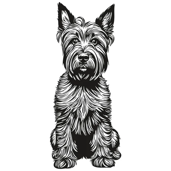 苏格兰色列犬黑色绘图矢量 孤立的人脸绘画素描线示意图 — 图库矢量图片