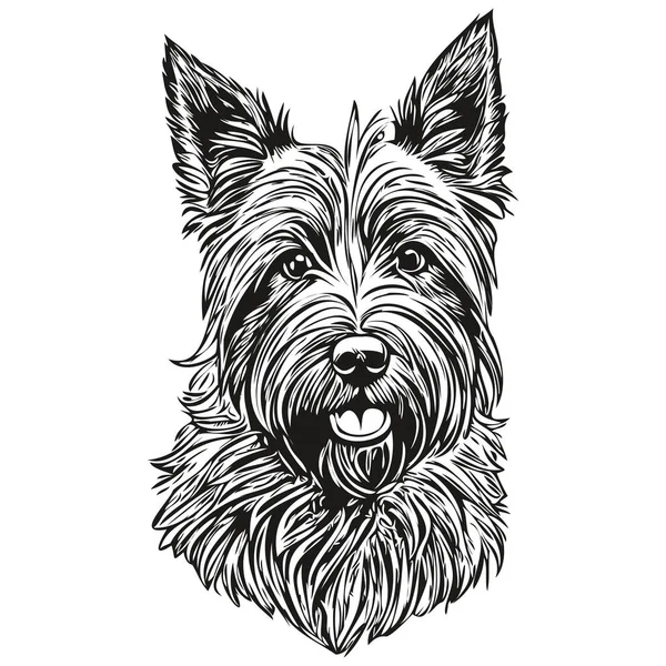 Scottish Terrier Cão Preto Desenho Vetor Isolado Pintura Facial Esboço —  Vetores de Stock