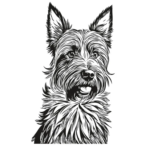 苏格兰色列犬雕刻矢量画像 黑白逼真品种宠物面部卡通画 — 图库矢量图片