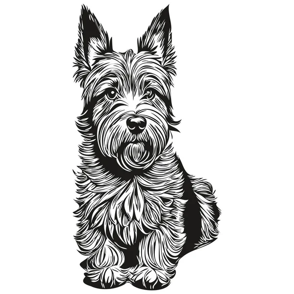 Scottish Terrier Pies Twarz Wektor Portret Zabawny Zarys Zwierzę Ilustracja — Wektor stockowy