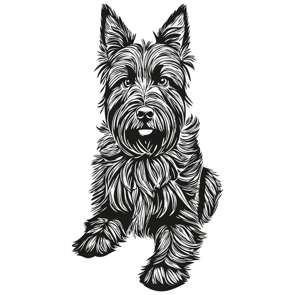 Scottish Terrier Chien Visage Vecteur Portrait Drôle Contour Animal Illustration — Image vectorielle
