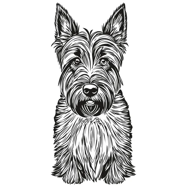 Skoç Teriyer Köpek Eli Çizilmiş Logo Siyah Beyaz Çizgi Çiziyor — Stok Vektör